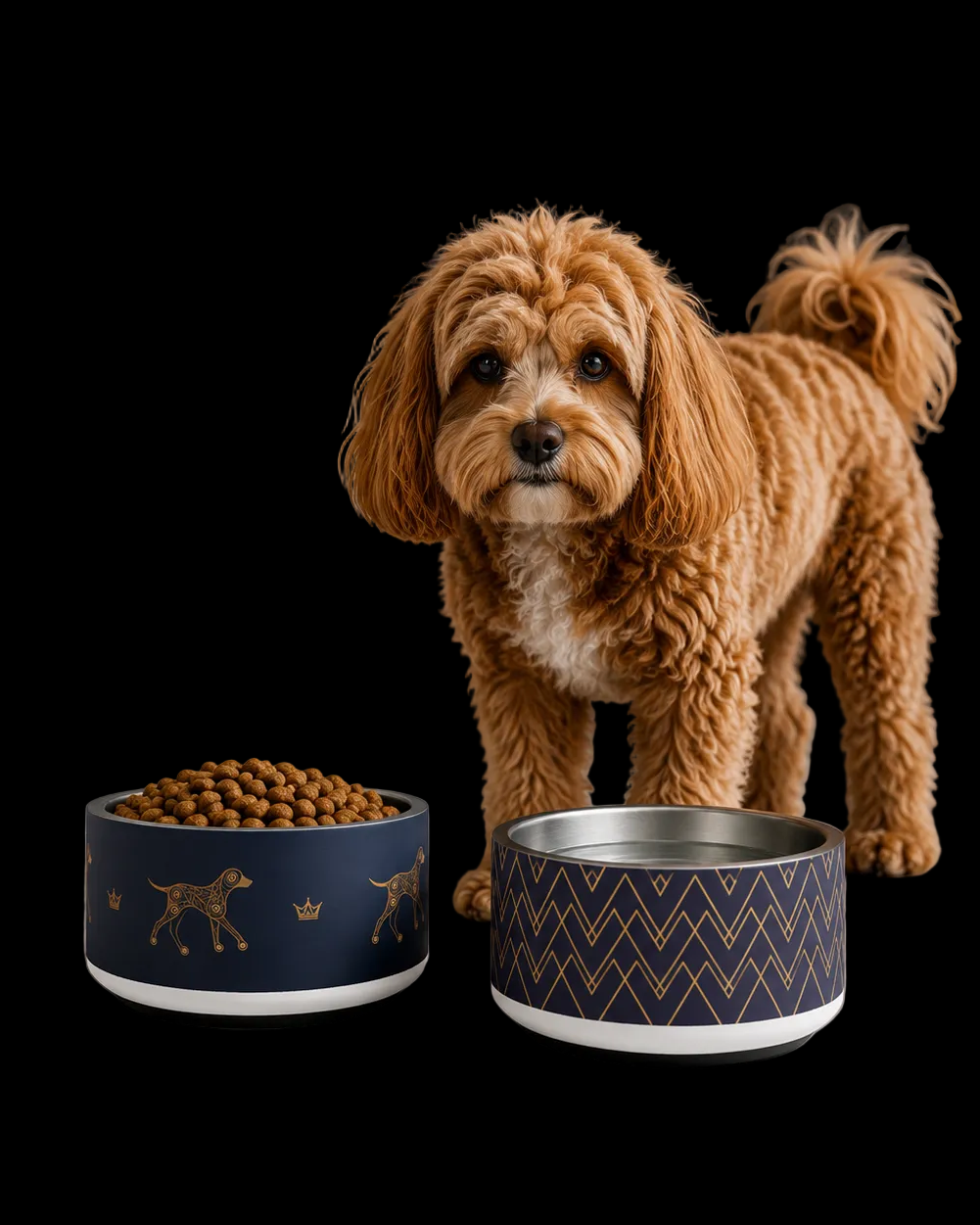 Uncommon Luxe Navy & Gold Dog Pattern Crown 18 oz Stainless Steel Dog Bowl