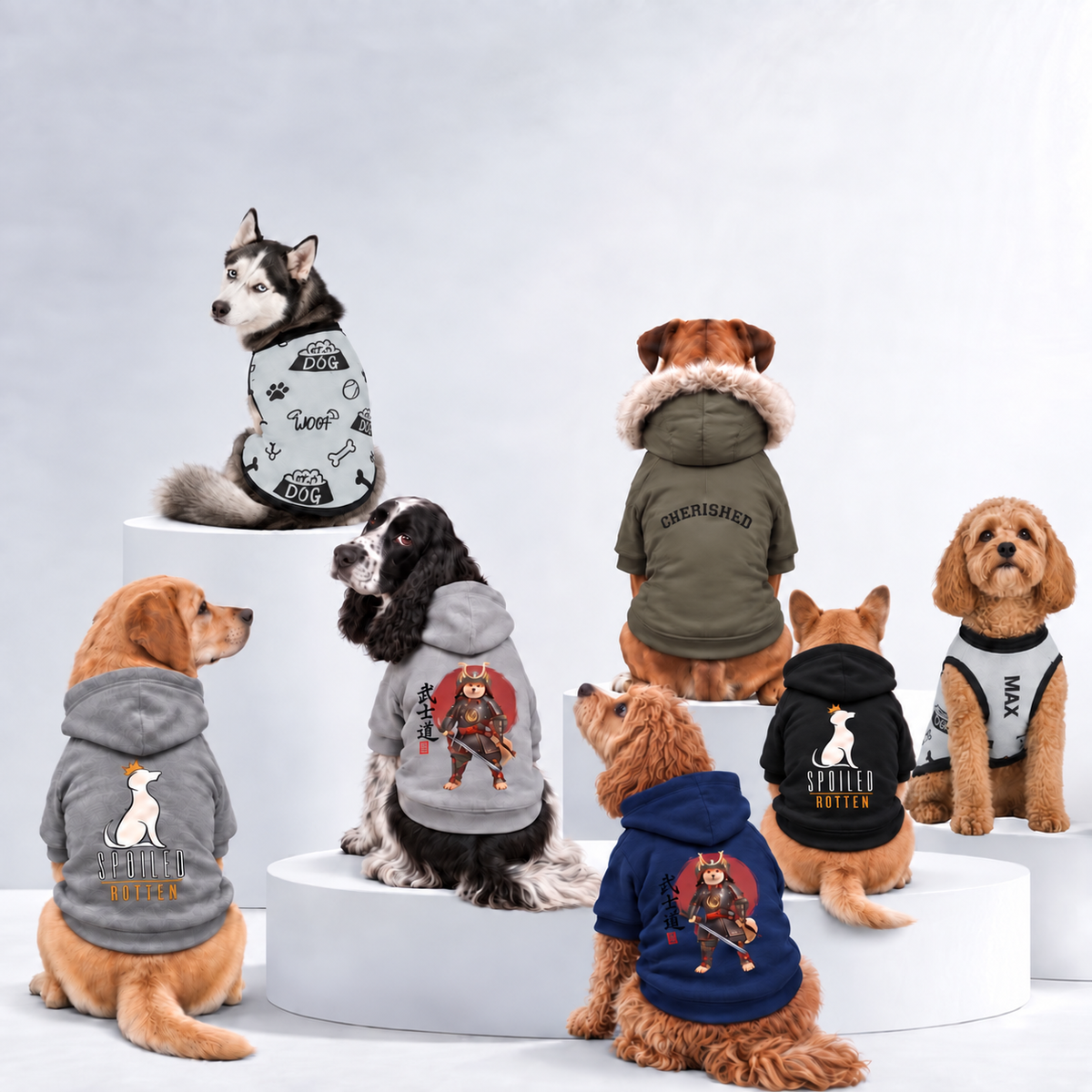 Six dogs of different breeds are shown wearing various colorful dog hoodies,  sweatshirts, and an hoodie, arranged on white display pedestals against a white studio background.