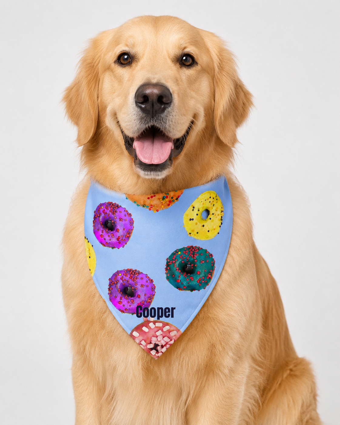 Personalized Donut Dog & Pup Parents Bandana | Baby Blue Bandana