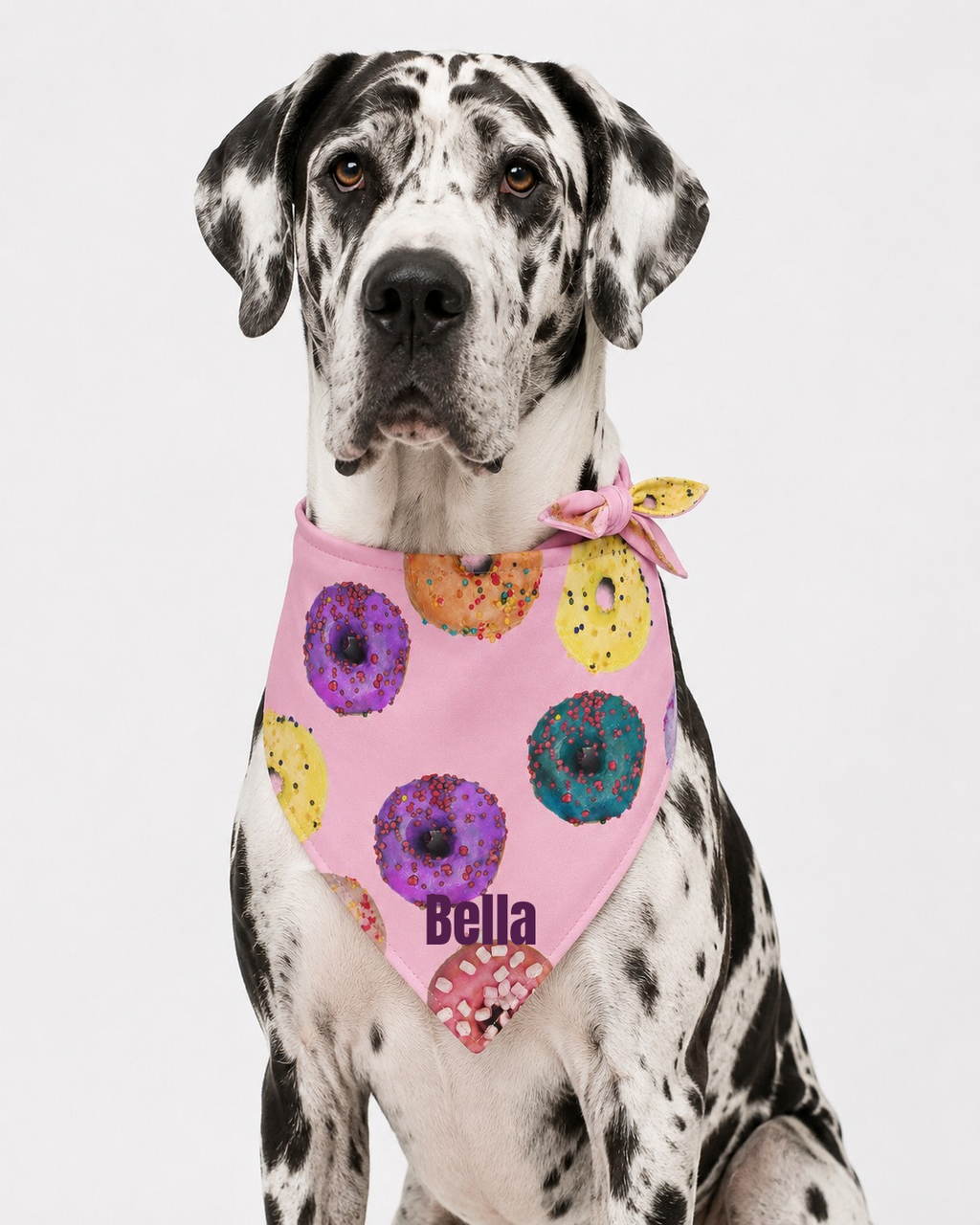 Personalized Donut Dog & Pup Parent Bandanas |Pink Bandana