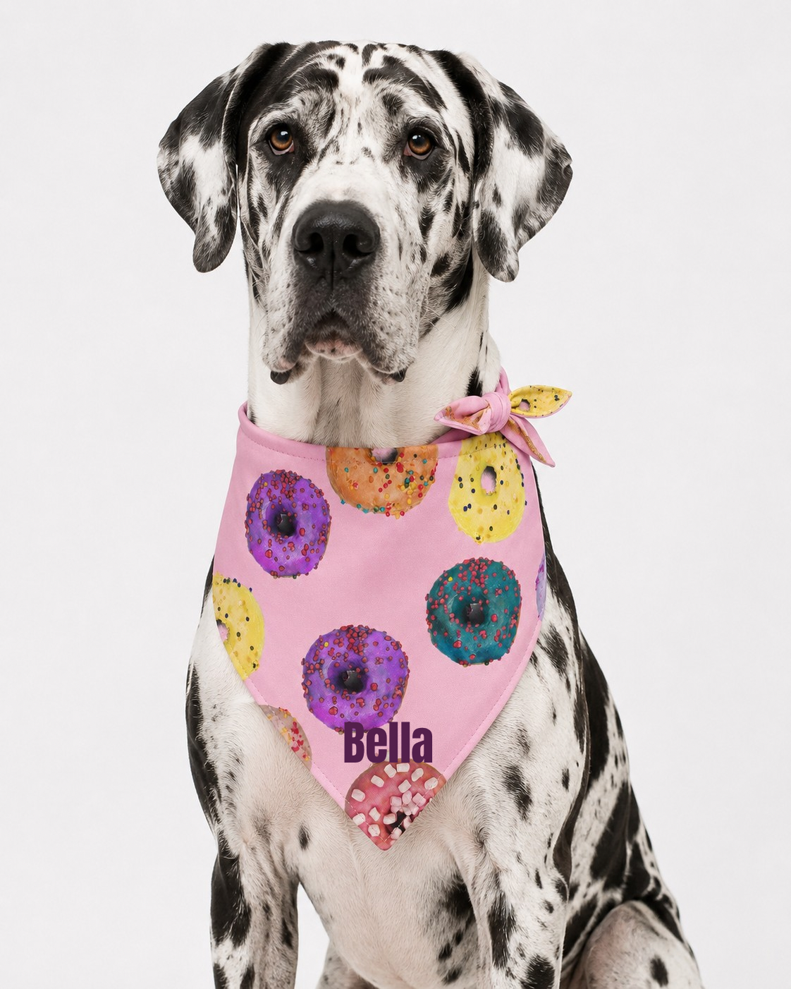 Personalized Donut Dog & Pup Parent Bandanas |Pink Bandana
