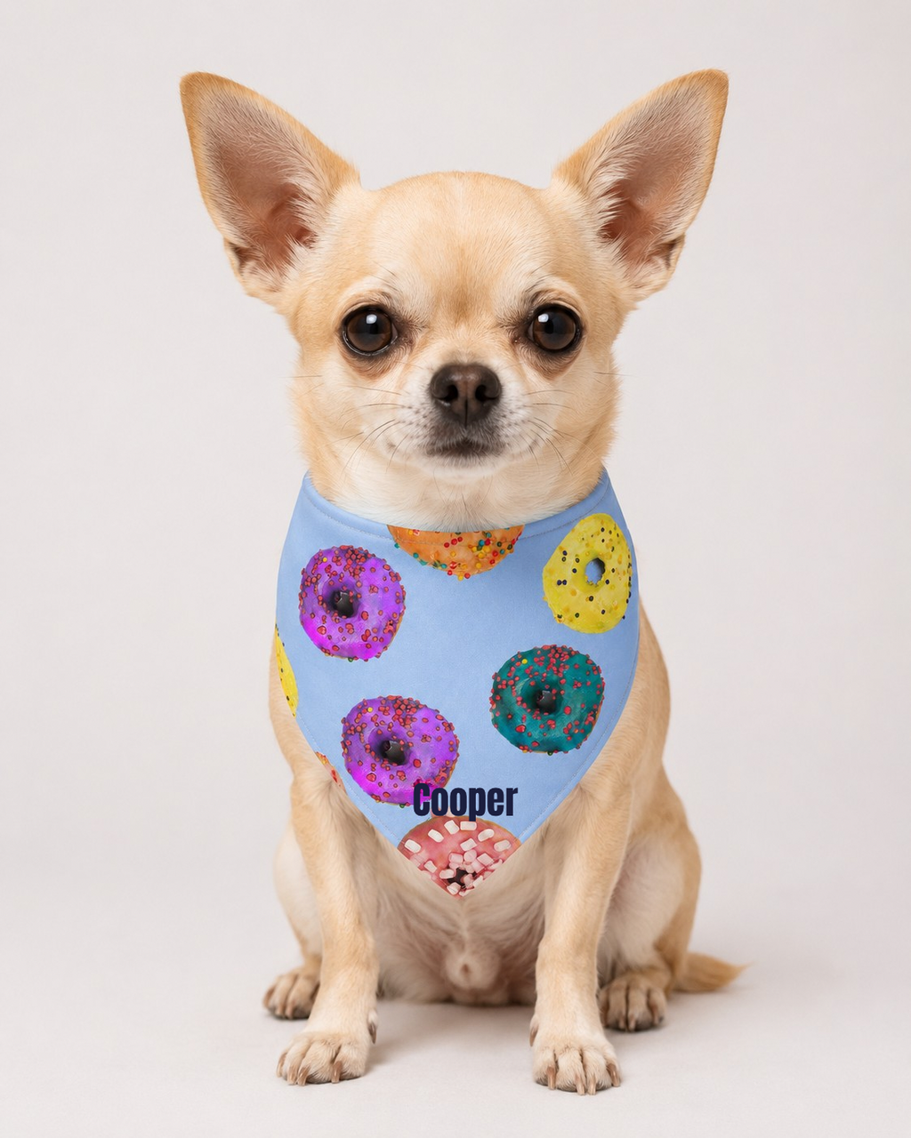 Personalized Donut Dog & Pup Parents Bandana | Baby Blue Bandana