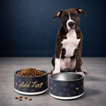 Dog sitting next to two black pet bowls with food on a gray surface and dark blue background