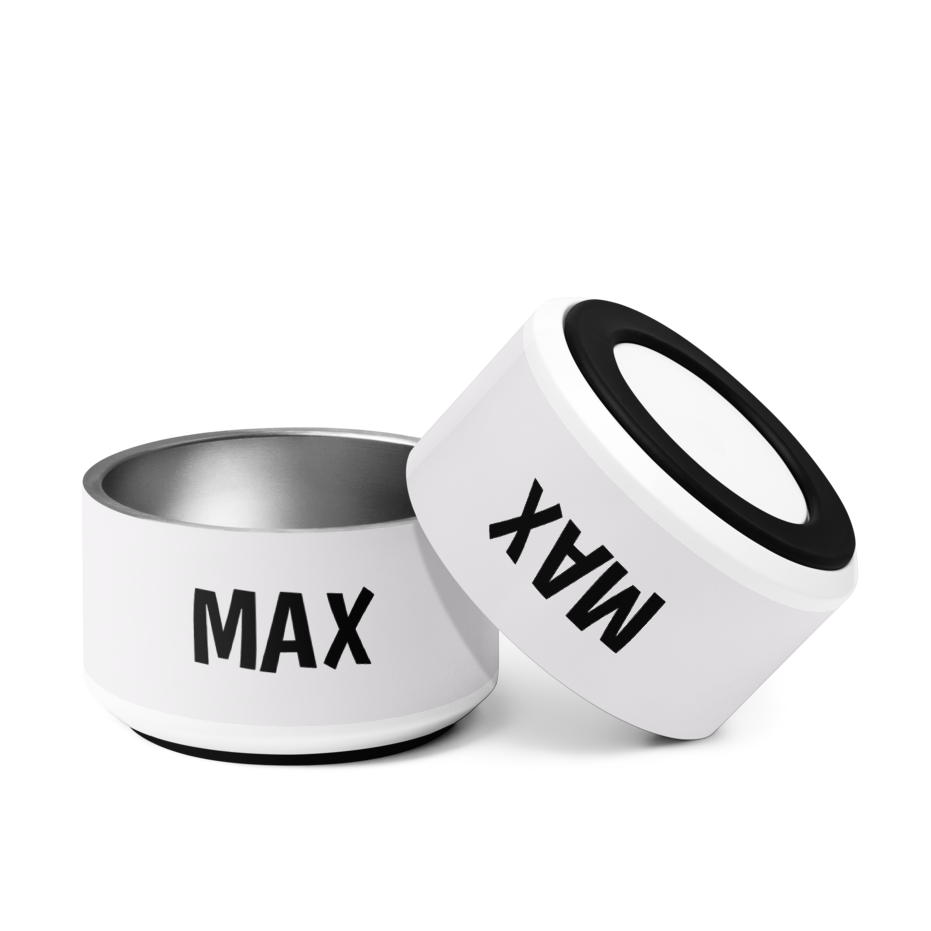 Uncommon Classic Luxe Personalized Stainless Steel Dog Bowl 18, 32 oz