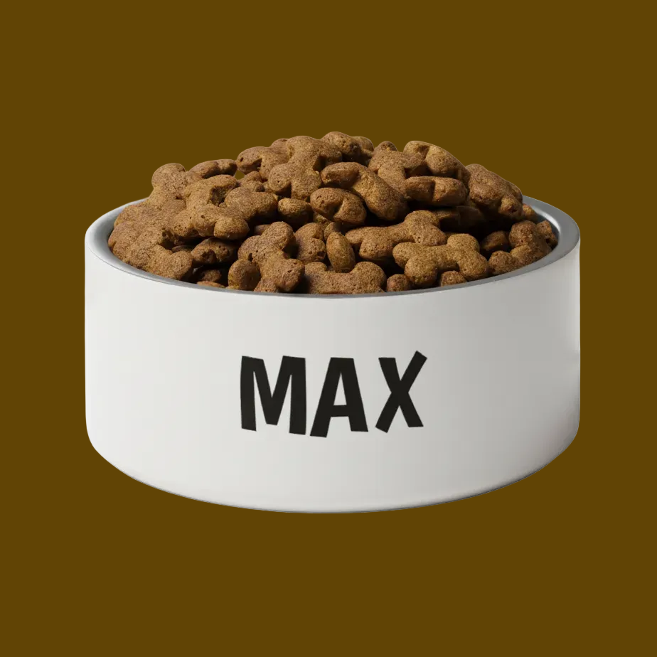White stainless Steel personalized dog bowl filled with dog food on a brown background