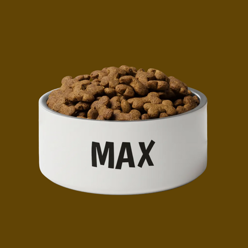White stainless Steel personalized luxury dog bowl filled with dog food on a brown background