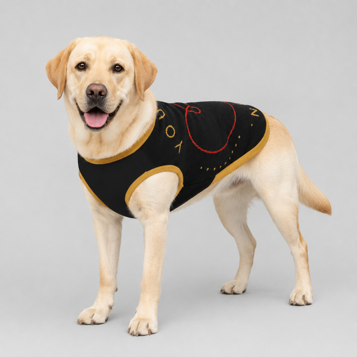 Personalized Dog Sweater Black, and Gold "You Are My Person", 2XL