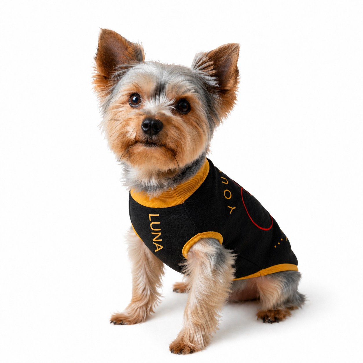 Small dog wearing a black and gold outfit with 'LUNA' branding on a white background