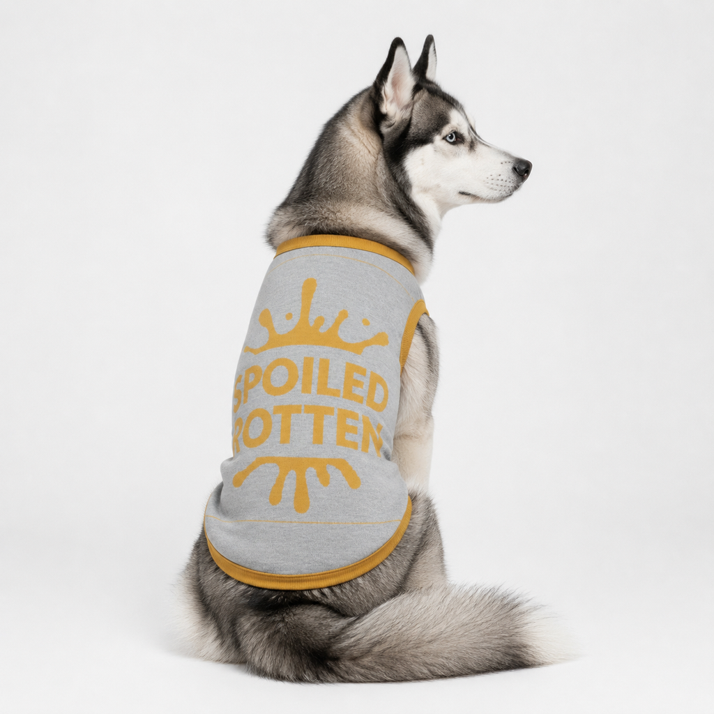 A dog wearing a gray and gold 'Spoiled Potter' shirt on a white background