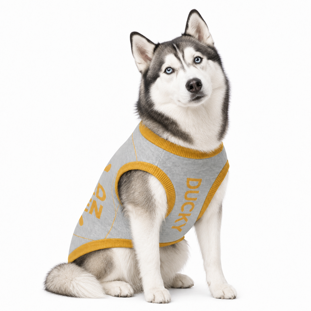Dog wearing a gray and gold sweater with 'Ducky' branding on a white background