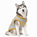 Dog wearing a gray and gold sweater with 'Ducky' branding on a white background