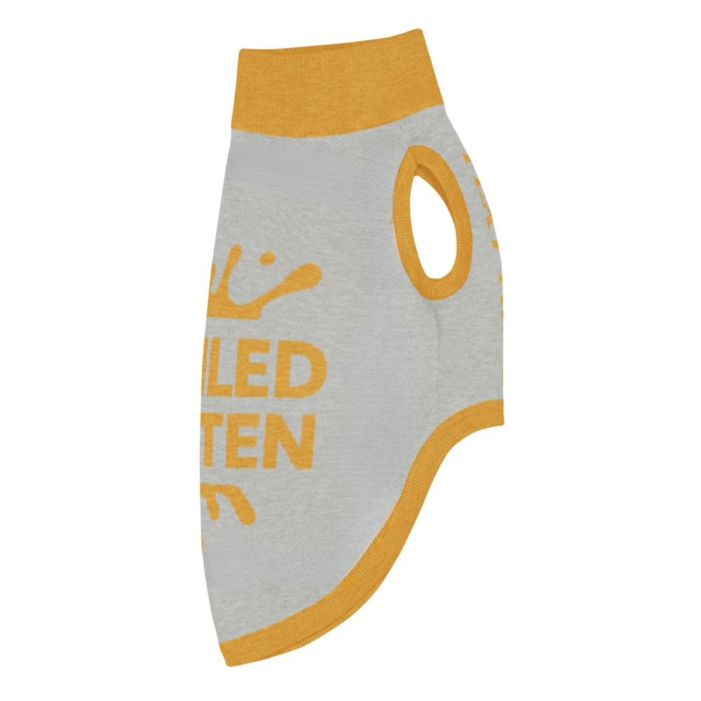 Gray pet outfit with yellow trim and text on a white background