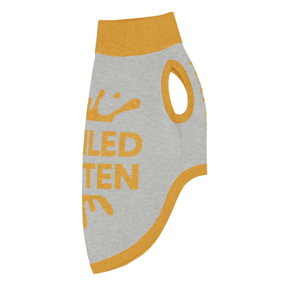 Personalized Dog sweater, Gray and Gold, Splashes with “SPOILED ROTTEN”, S & M