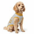 Personalized Dog sweater, Gray and Gold, Splashes with “SPOILED ROTTEN”, S & M