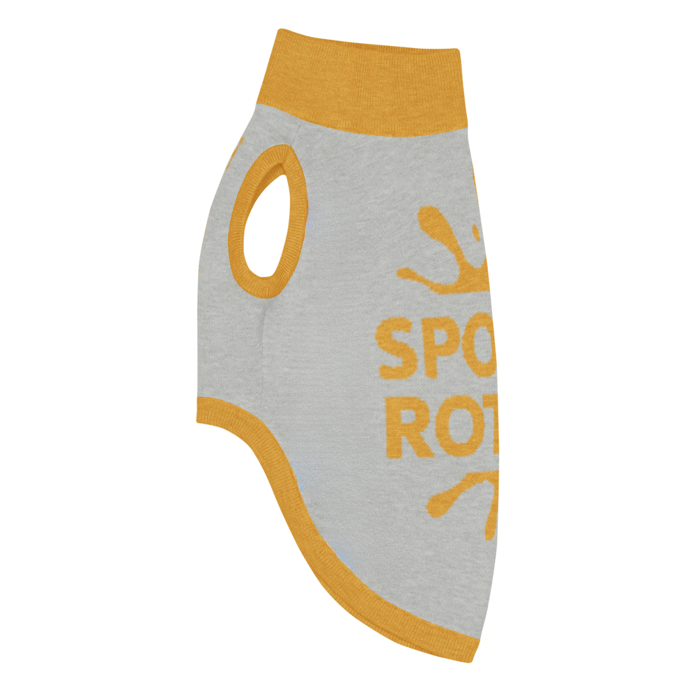 Personalized Dog sweater, Gray and Gold, Splashes with “SPOILED ROTTEN”, S & M