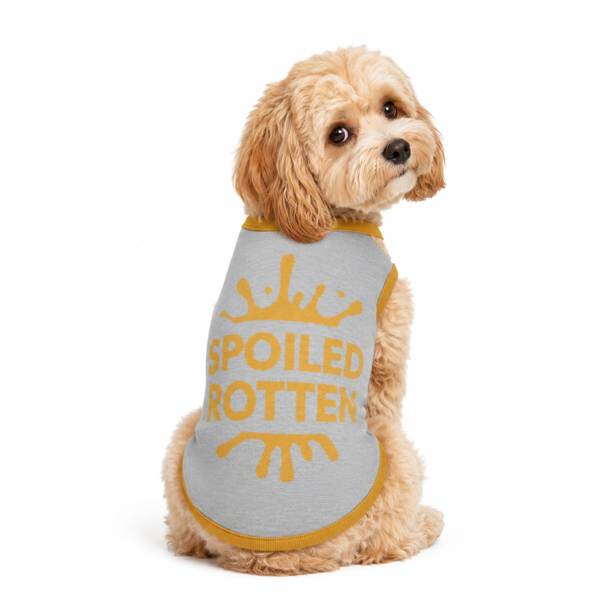 Personalized Dog sweater, Gray and Gold, Splashes with “SPOILED ROTTEN” 2xs - 2xl