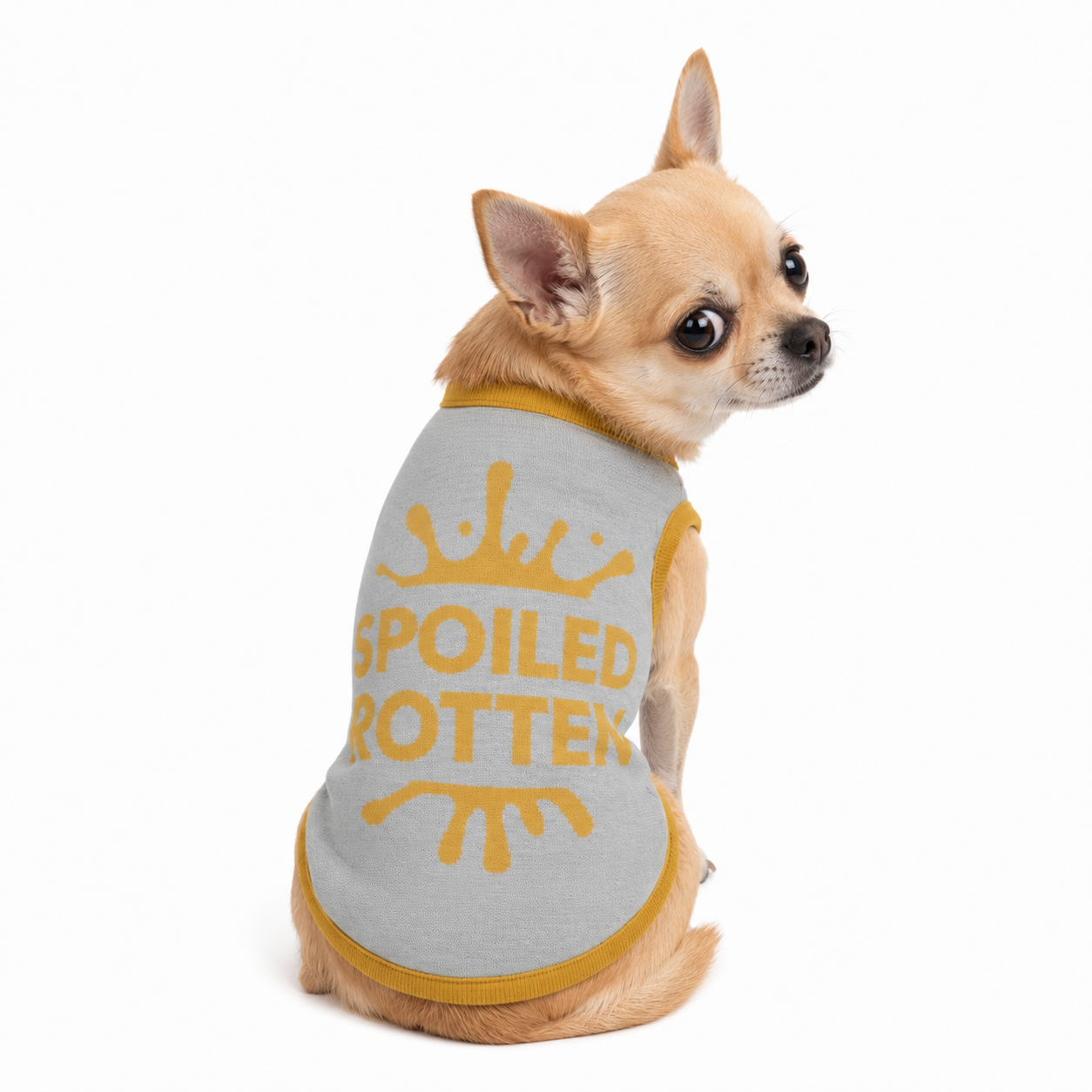 Personalized Dog sweater, Gray and Gold, Splashes with “SPOILED ROTTEN” 2xs - 2xl