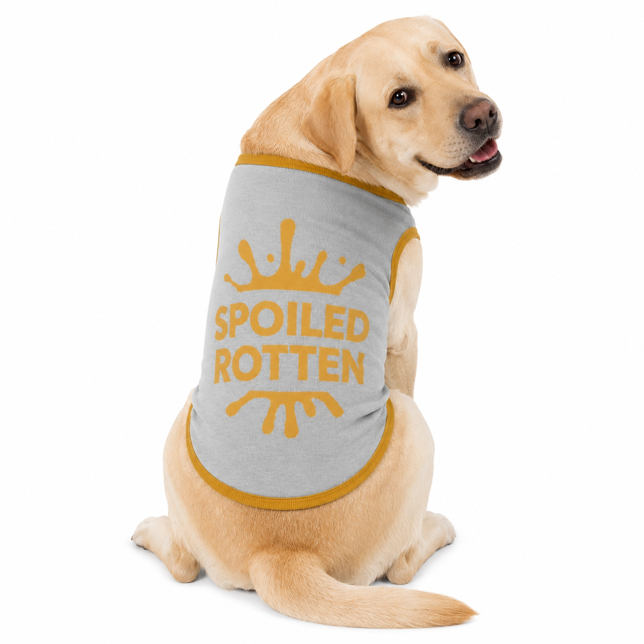 Personalized Dog sweater, Gray and Gold, Splashes with “SPOILED ROTTEN” 2xs - 2xl