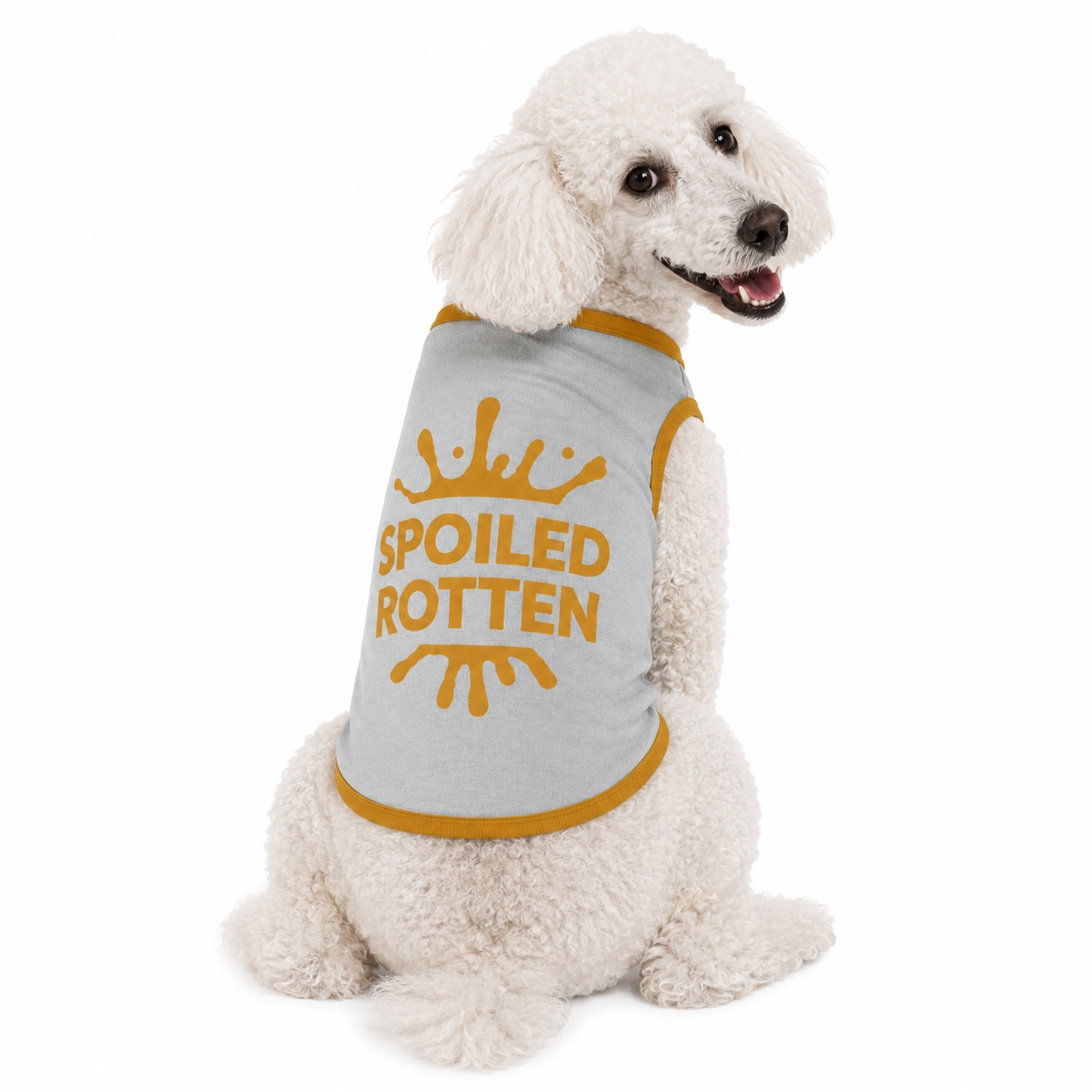 Personalized Dog sweater, Gray and Gold, “SPOILED ROTTEN” 2xs - 2xl