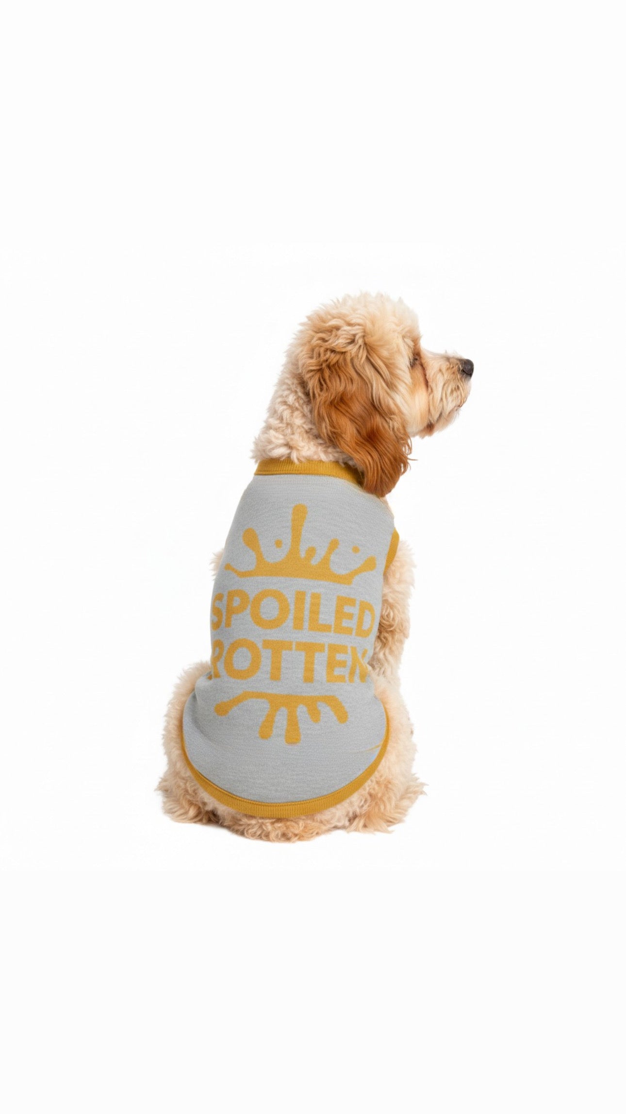 Personalized Dog sweater, Gray and Gold, Splashes with “SPOILED ROTTEN” 2xs - 2xl