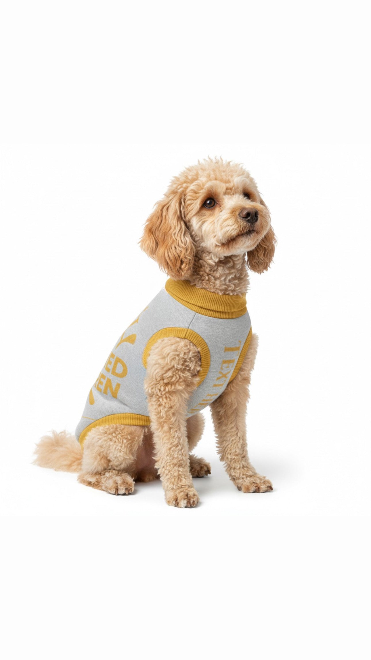 Personalized  gray and gold Spoiled Rotten dog sweater side view with gold trim
