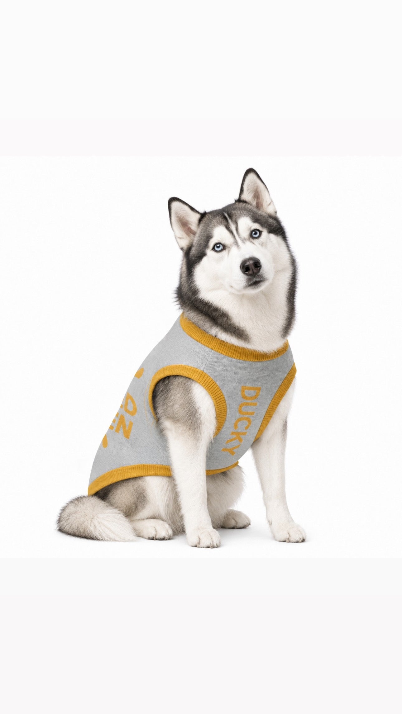 Personalized Dog sweater, Gray and Gold, Splashes with “SPOILED ROTTEN” 2xs - 2xl