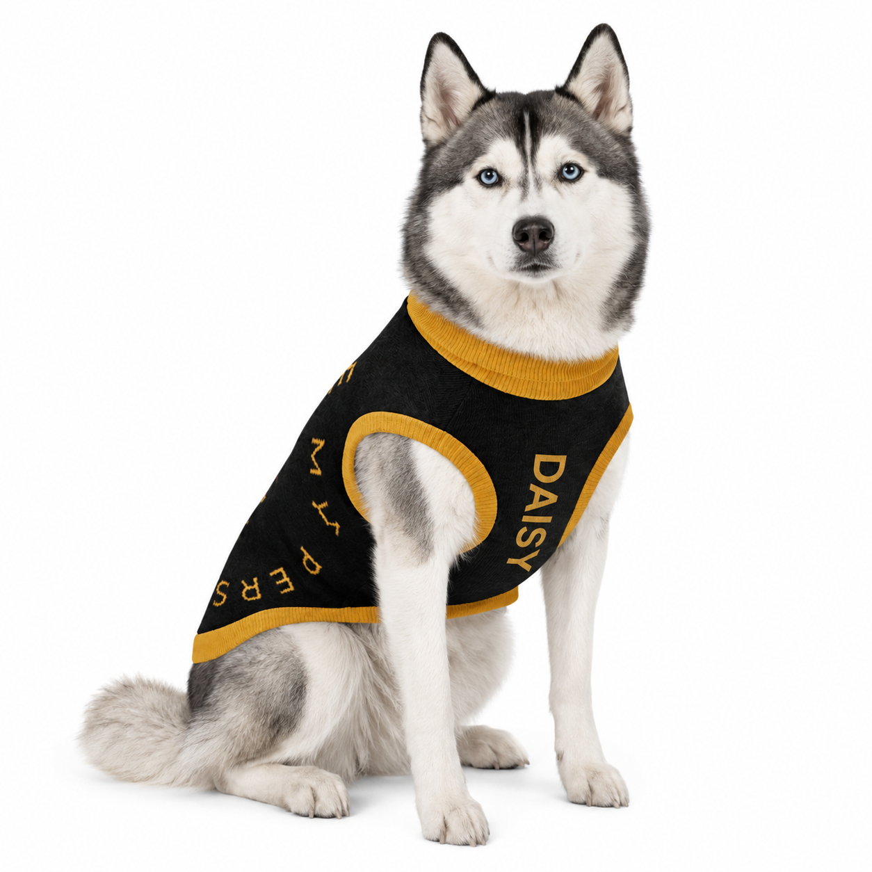 Personalized Dog Sweater Black, and Gold "You Are My Person", S, M,L