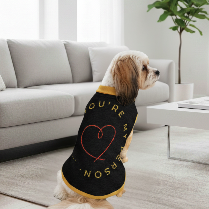 Dog wearing a sweater with text in a living room