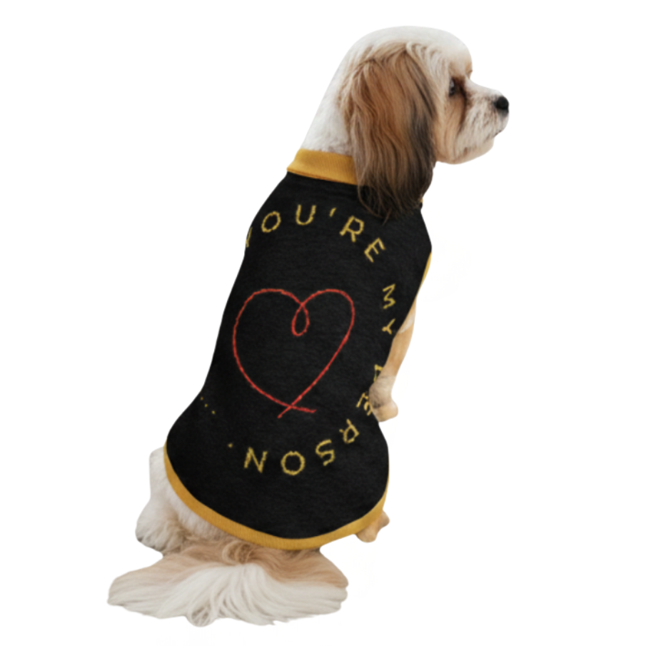 Dog wearing a black sweater with yellow trim and text on a white background