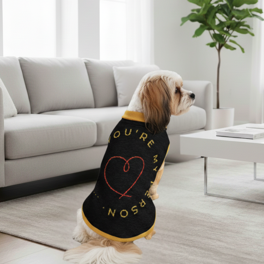 Dog wearing a sweater with text in a living room