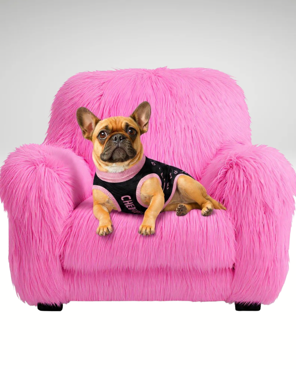 Dog wearing a black shirt with pink text on a pink fluffy chair