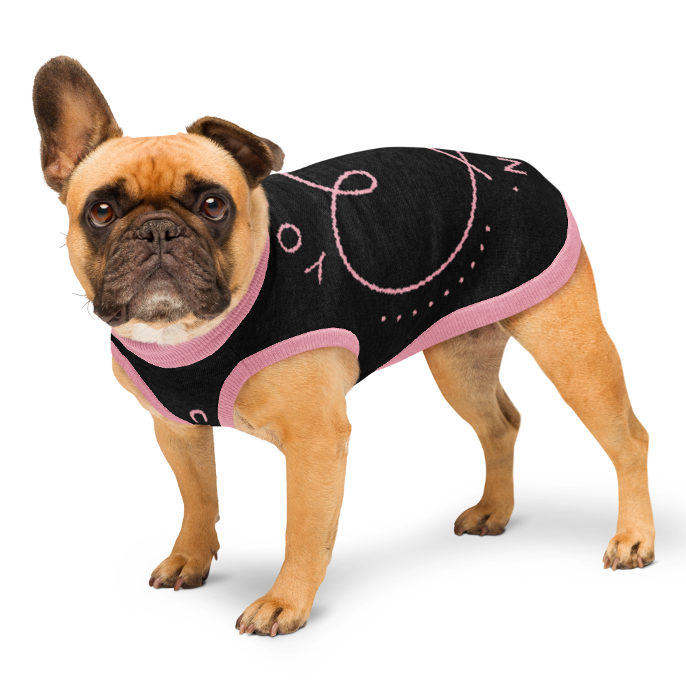Dog wearing a black and pink outfit on a white background