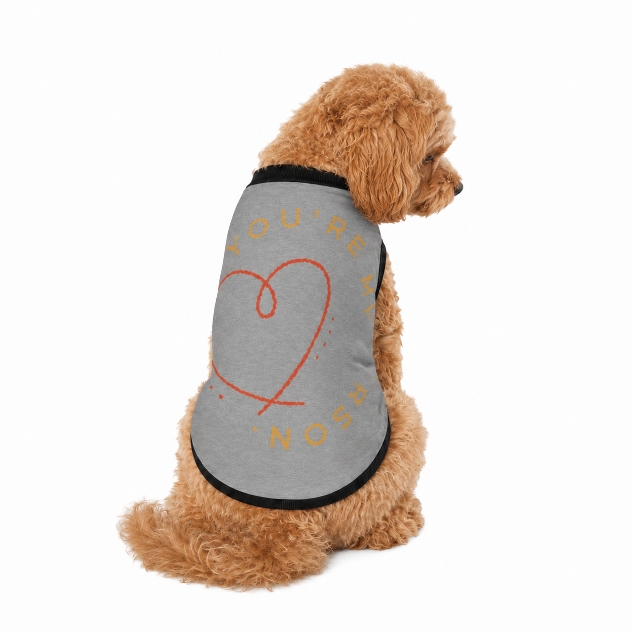 Personalized Dog Sweater, Gray and Black, "You are my Person" Size M & L