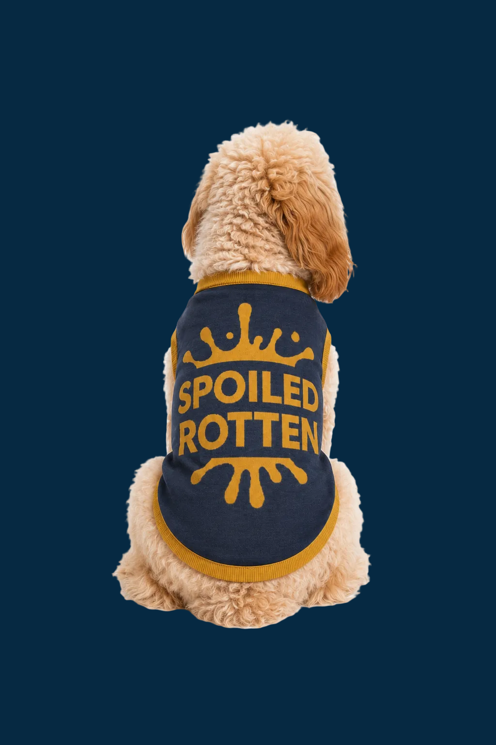 Personalized Dog sweater, Blue and Gold, “SPOILED ROTTEN” 2xs - 2xl