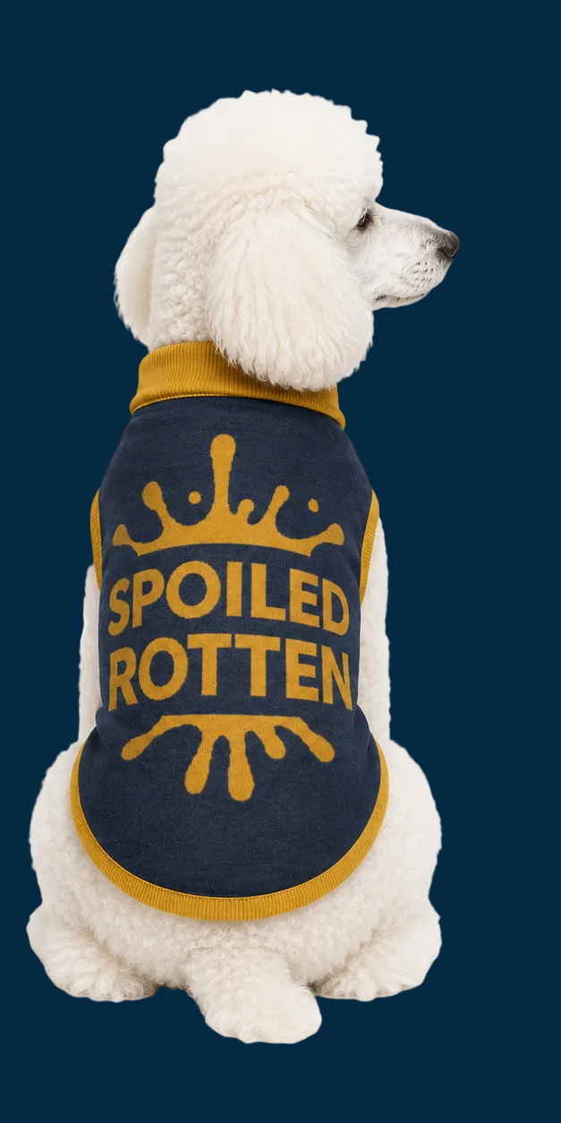 Personalized Dog sweater, Blue and Gold, “SPOILED ROTTEN” 2xs - 2xl