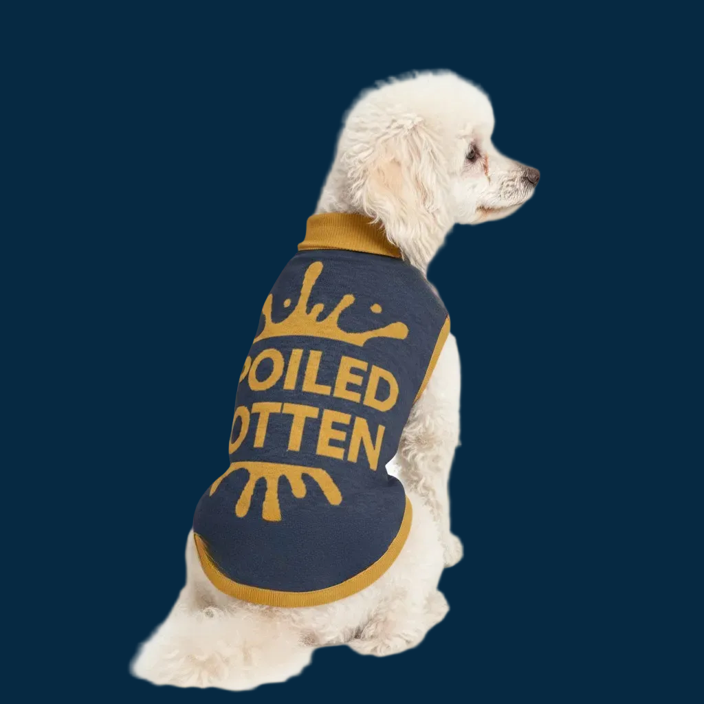 Personalized Dog sweater, Blue and Gold, “SPOILED ROTTEN” 2xs - 2xl