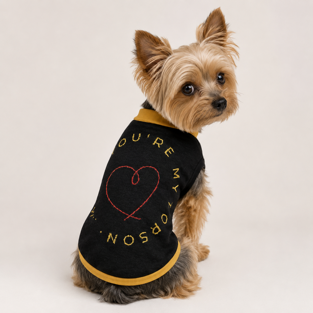 Personalized Dog Sweater Black, and Gold "You Are My Person", S, M,L