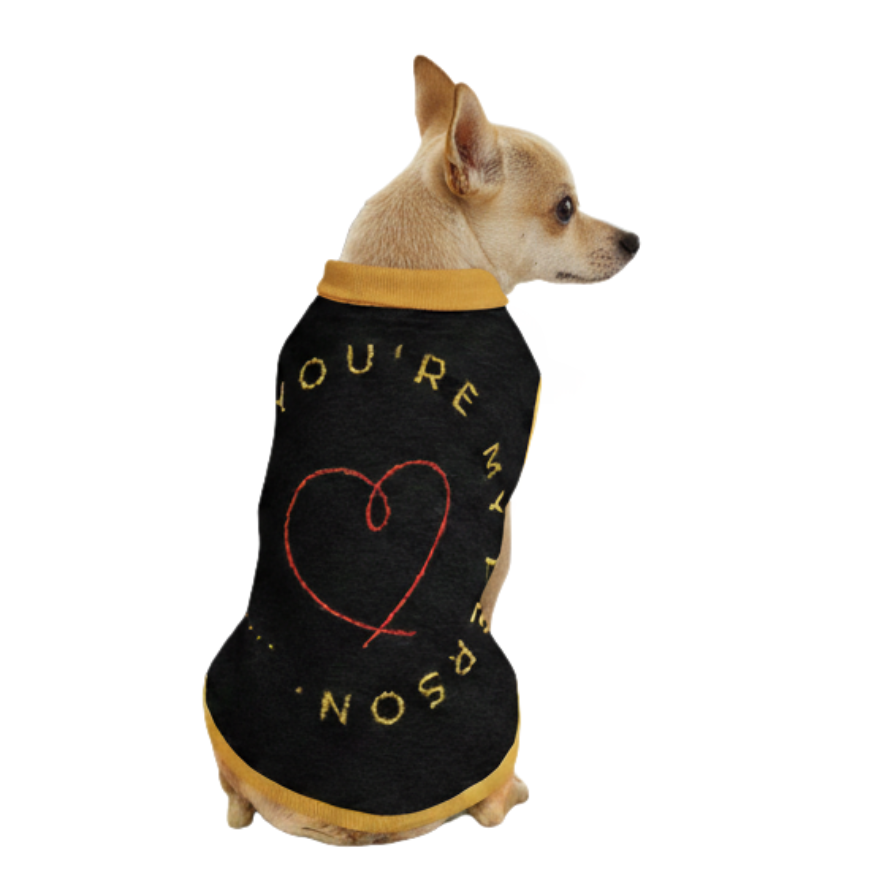 Dog wearing a black sweater with yellow text and a red heart on a white background