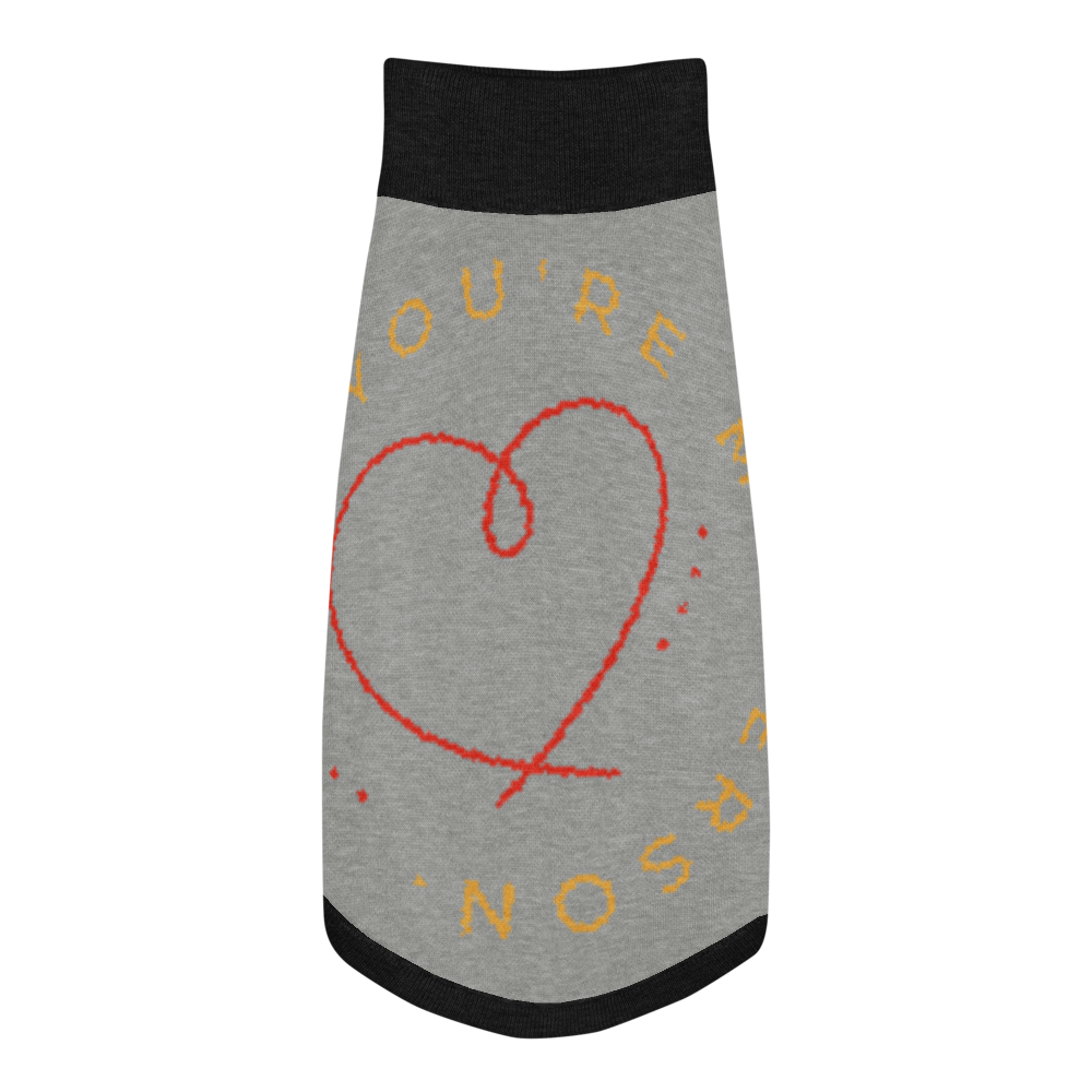 Gray pet dress with red heart and gold text on a white background