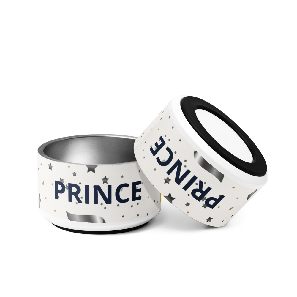 Luxury Stainless Steel Dog Bowl, Modern, “PRINCE”, 18 and 32 oz.