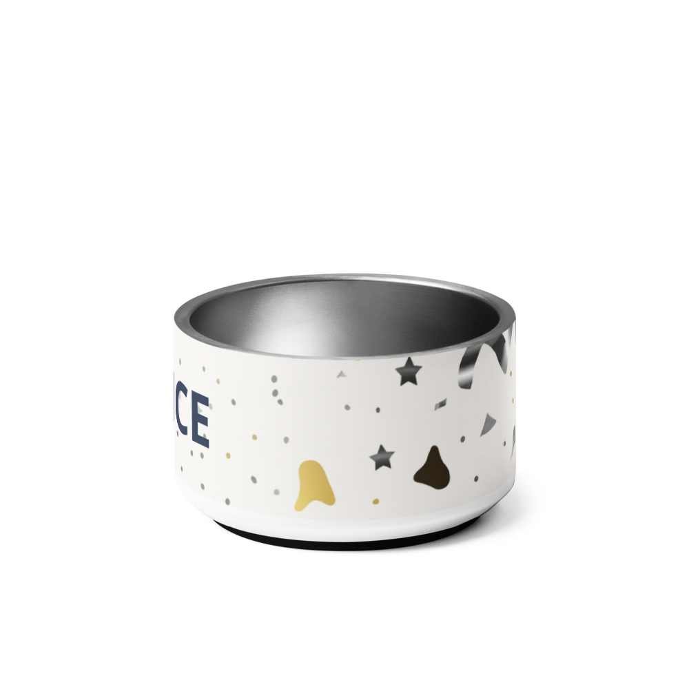 Paw Prince Luxury Dog Bowl Set 18 oz.