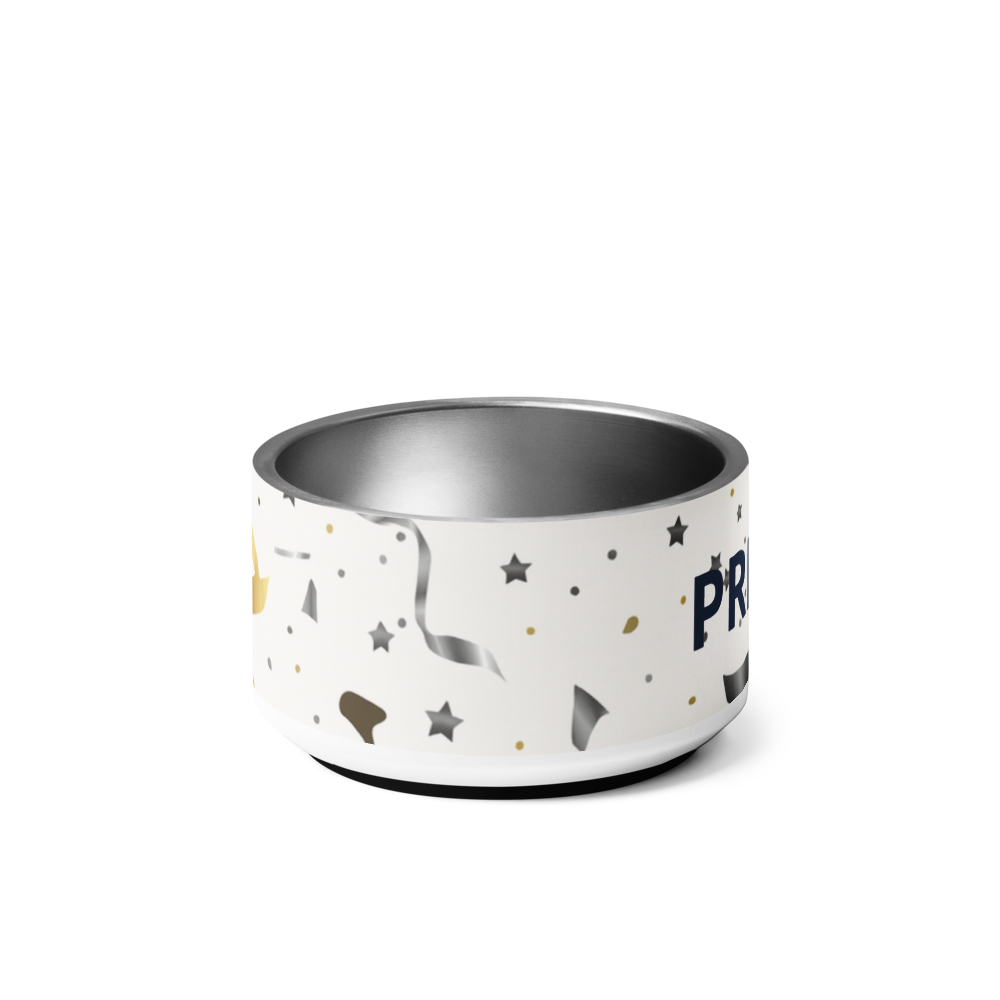 Paw Prince Luxury Dog Bowl Set 18 oz.