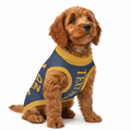 Dog wearing a blue and gold personalized  sweater a white background