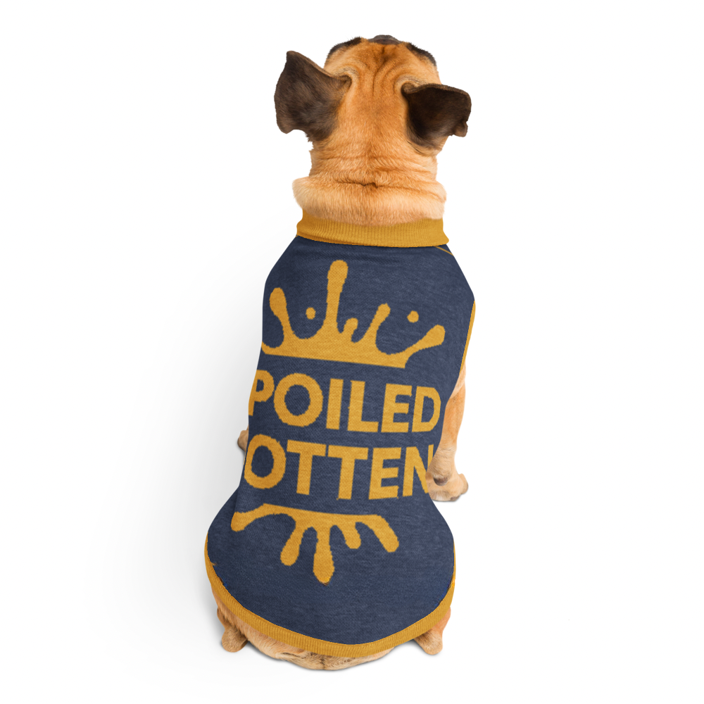Personalized Dog sweater, Blue and Gold, Splashes with “SPOILED ROTTEN”, M, L, XL