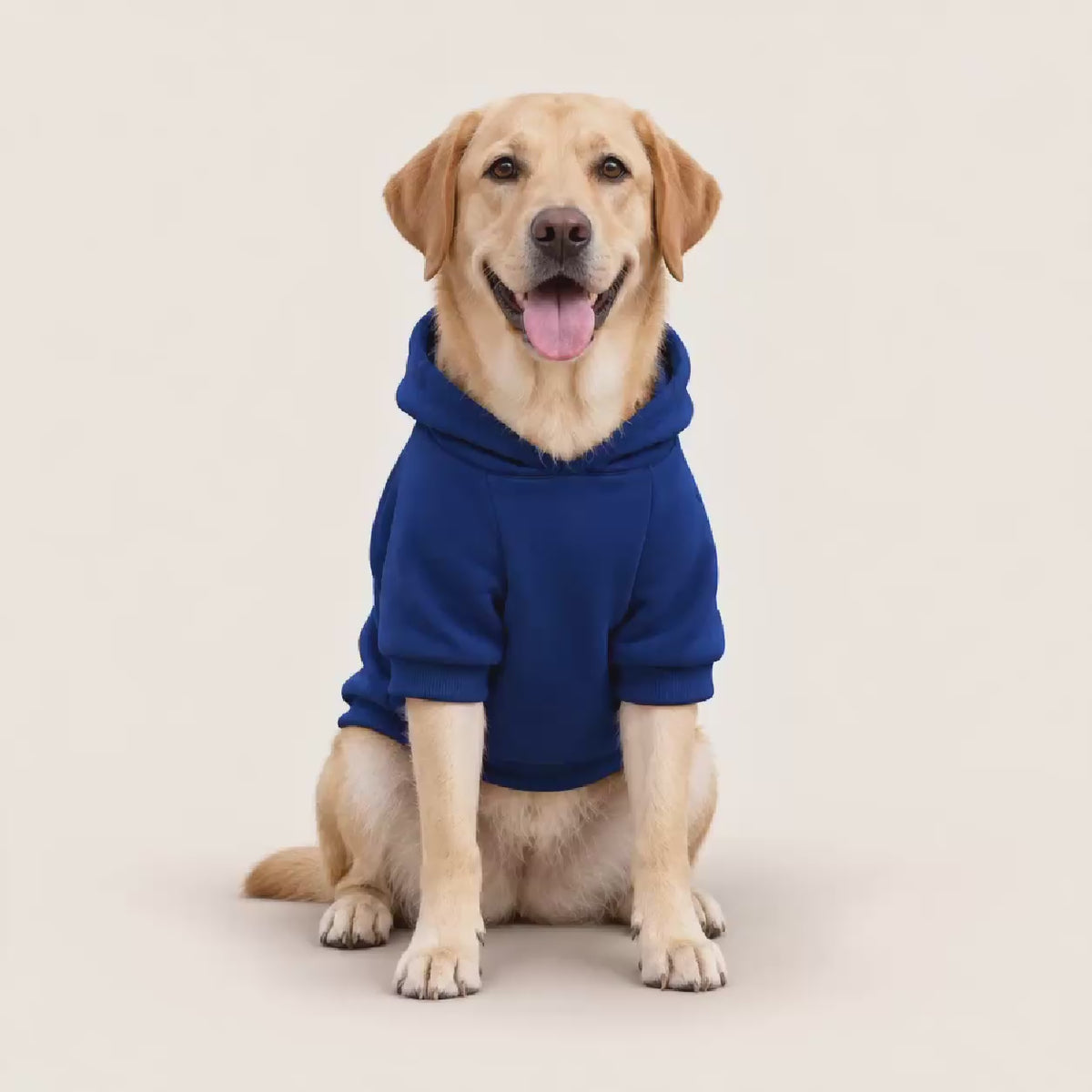 The Warrior's Way Samurai Dog Hoodie- Gray and Navy XS - 2XL