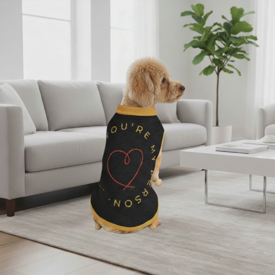 Personalized Knitted pet sweater Color Black, and Gold "You Are My Person", S, M,L