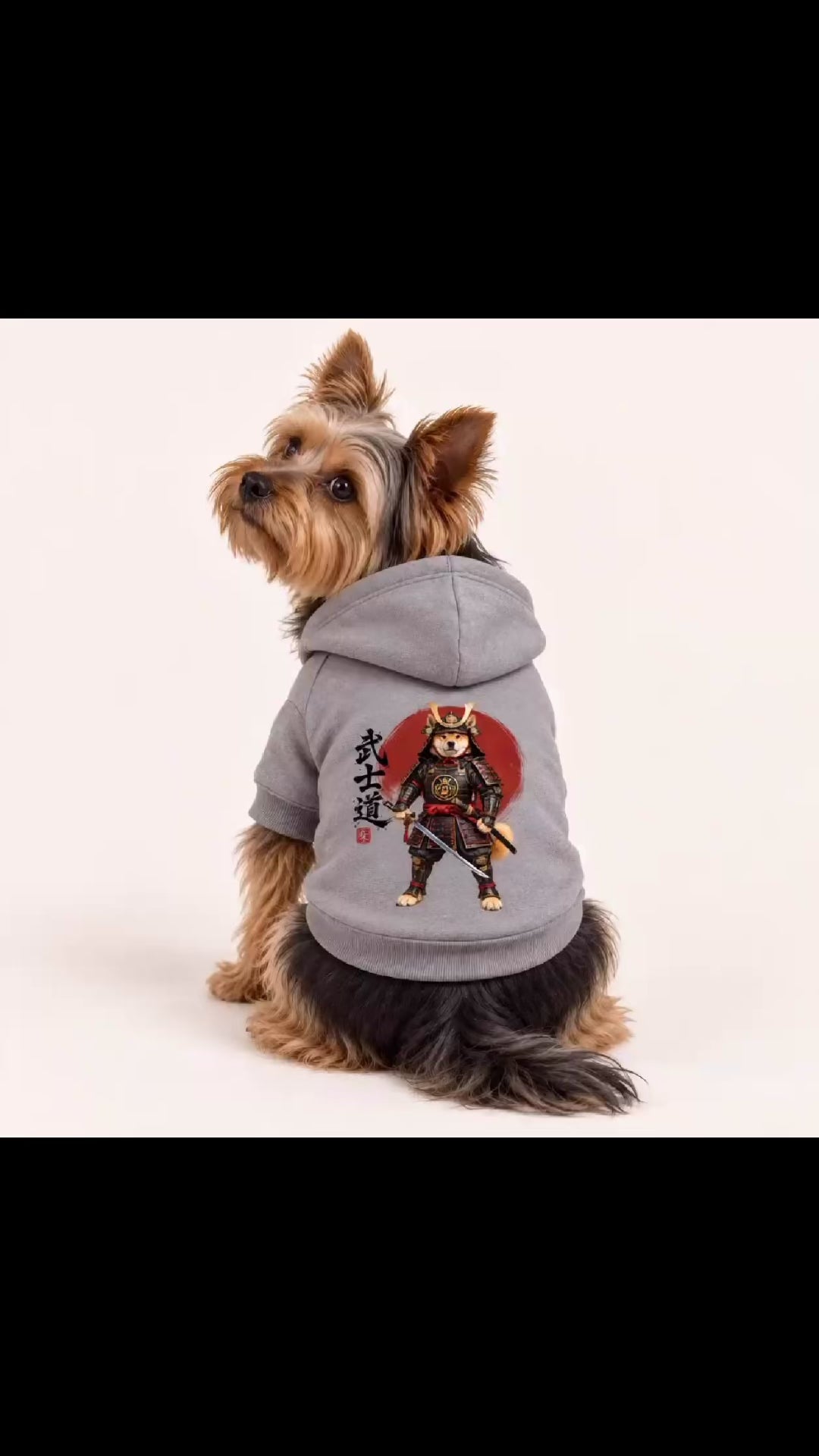The Warrior's Way Samurai Dog Hoodie- Gray and Navy XS - 2XL