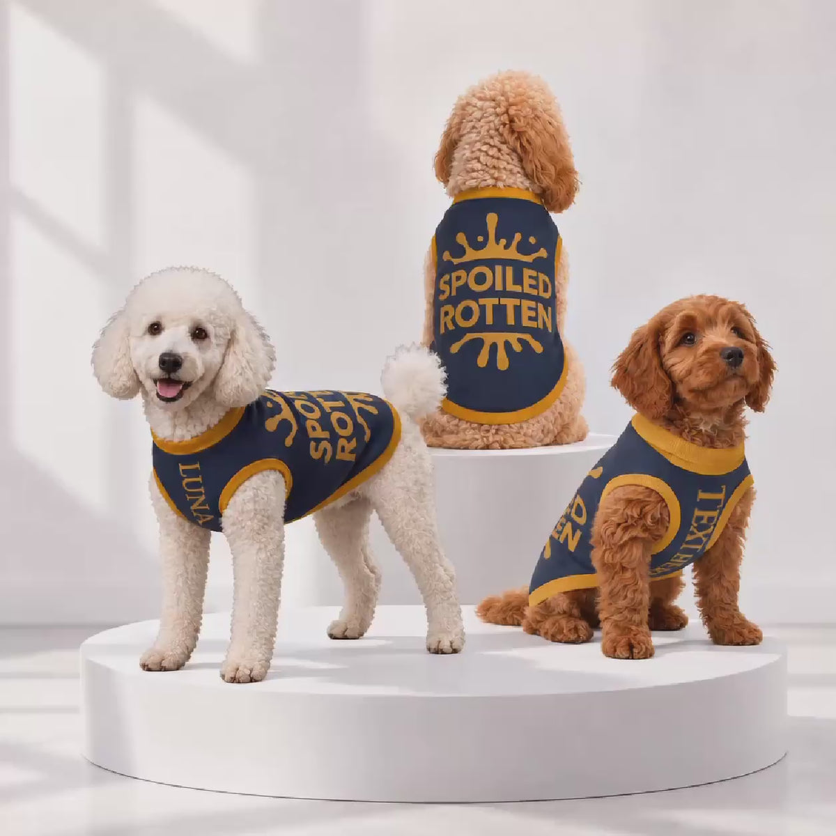 Personalized Dog sweater, Blue and Gold, “SPOILED ROTTEN” 2xs - 2xl