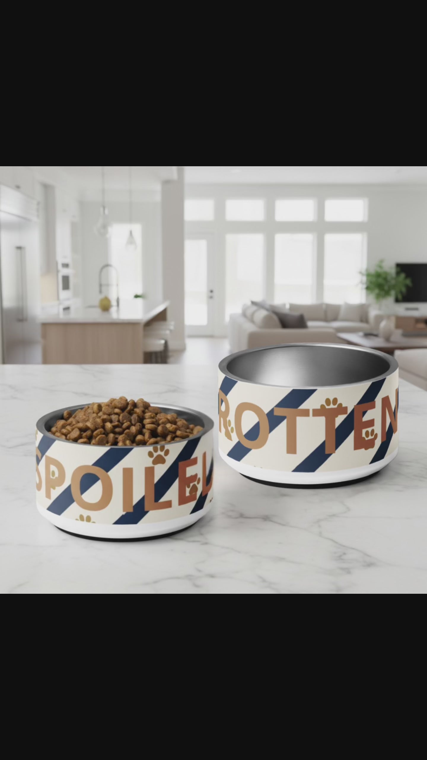 Modern Luxury Stainless Steel Dog Bowl Set 18 oz. - Spoiled Rotten
