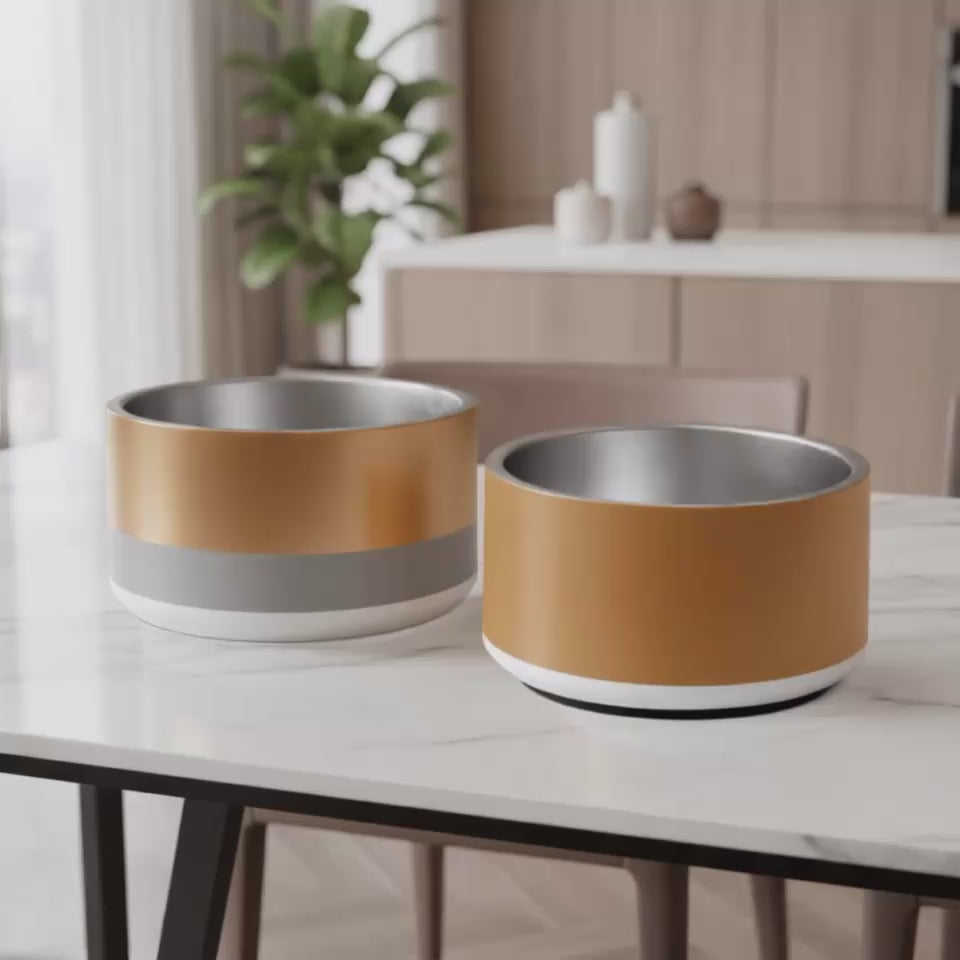 Classic Champagne Gold & Soft Granite stainless steel, 18 oz. dog bowl video placed in a gift box